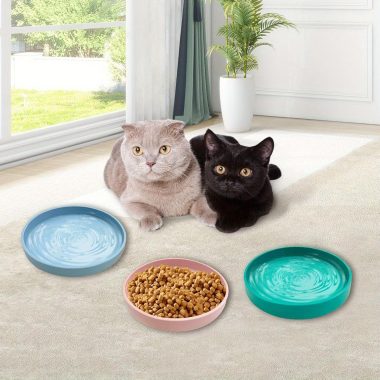 Food Bowl