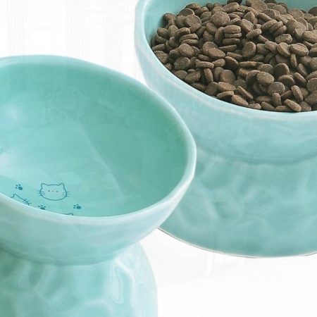 Ceramic Raised Cat Bowls Tilted Elevated Cat Food and Water Bowl Set Porcelain Str Free Pet Feeder Dish for Cats and Small Dogs Dishwasher and Microwave Safe Green Set of 2