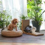 d895770fe5e94af78688d23c91063dc1-goods